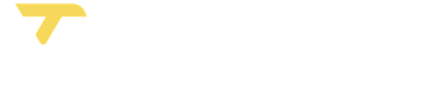 Tripo AI